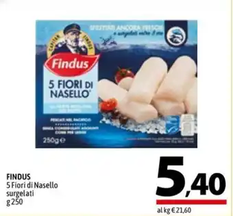 A&O FINDUS 5 Fiori di Nasello surgelati g 250 offerta