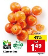 Lidl Clementine 1,5 kg rete offerta