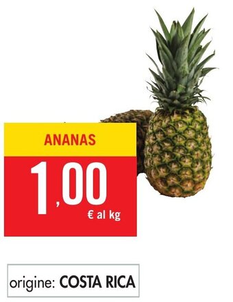Tigros Ananas offerta