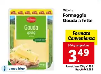 Lidl Milbona Formaggio Gouda a fette 500 g confezione offerta