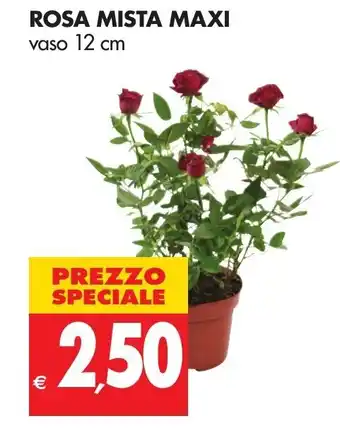 Tigros Rosa Mista Maxi offerta