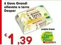 Despar Despar 6 Uova Grandi Allevate A Terra offerta