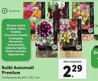 Lidl Bulbi Autunnali Premium offerta