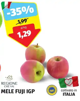 ALDI REGIONE CHE VAI MELE FUJI IGP offerta