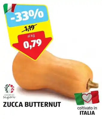 ALDI ZUCCA BUTTERNUT offerta