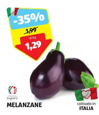 ALDI MELANZANE offerta