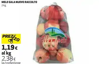 Coop Raccolto Mele Gala Nuovo offerta