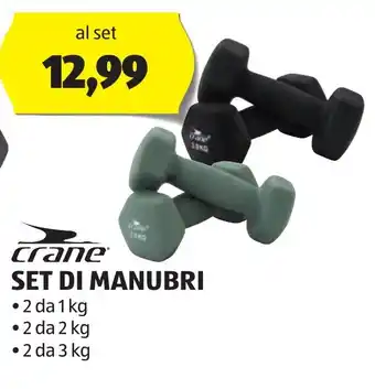 ALDI crane SET DI MANUBRI offerta