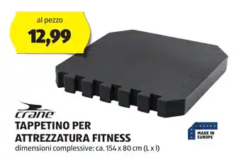 ALDI crane TAPPETINO PER ATTREZZATURA FITNESS offerta