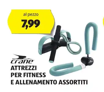 ALDI Crane ATTREZZI PER FITNESS E ALLENAMENTO ASSORTITI offerta
