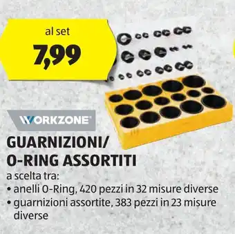 ALDI WORKZONE GUARNIZIONI/ O-RING ASSORTITI offerta