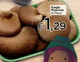 Crai Funghi Plaurotus offerta