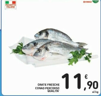Conad Conad Percorso Qualita Orate Fresche offerta