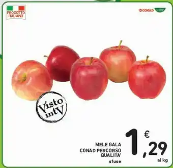 Conad Mele Gala offerta