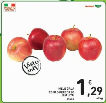Conad Mele Gala offerta