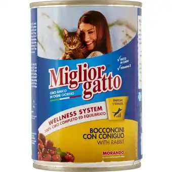 Mercati di Città La Prima Miglior gatto offerta