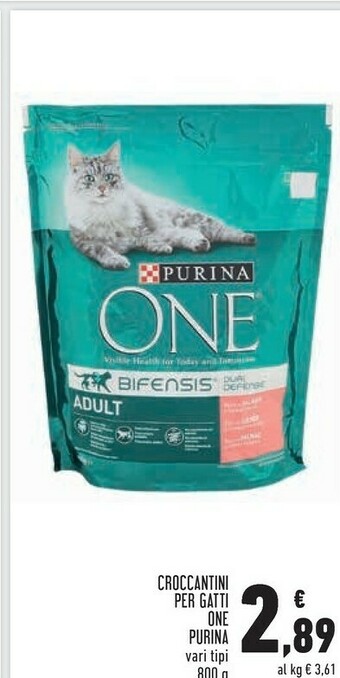 Conad Superstore Purina Croccantini Per Gatti One offerta