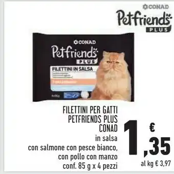 Conad Superstore Filettini Per Gatti offerta