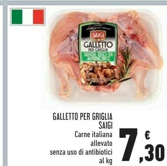 Saigi Galletto Per Griglia