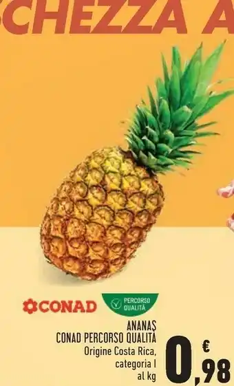 Conad Conad Ananas Percoso Qualita offerta