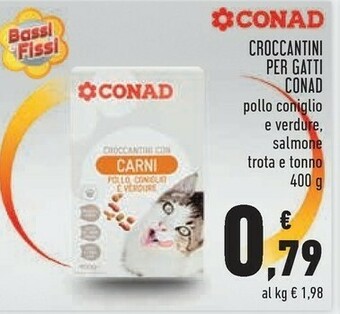 Conad Conad Croccantini Per Gatti offerta