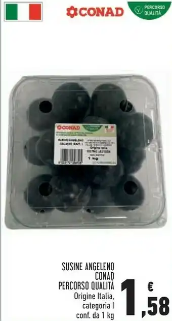 Conad Conad Susine Angeleno offerta