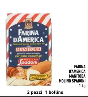 Conad FARINA D'AMERICA MANITOBA MOLINO SPADONI 1 kg offerta