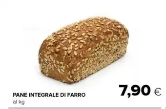 Tigre PANE INTEGRALE DI FARRO offerta