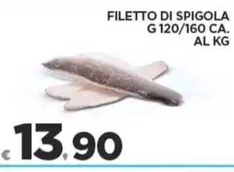 Deco Supermercati FILETTO DI SPIGOLA G 120/160 CA. offerta