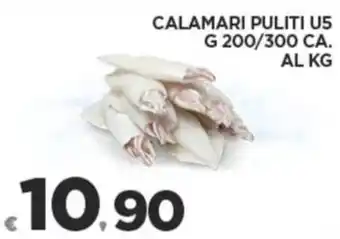 Deco Supermercati CALAMARI PULITI US G 200/300 CA. offerta