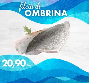 filetti di OMBRINA