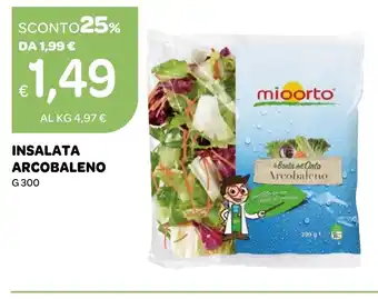 Ekom INSALATA ARCOBALENO G 300 offerta