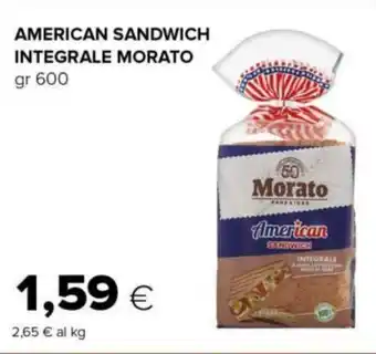 Tigre AMERICAN SANDWICH INTEGRALE MORATO gr 600 offerta