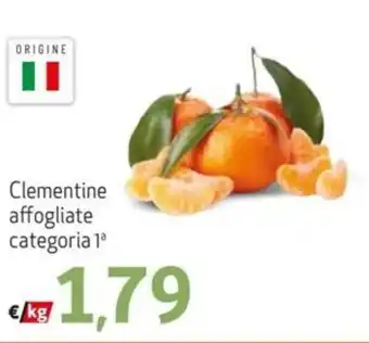 Maxi Family Clementine affogliate offerta