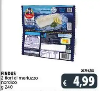 Deco Supermercati FINDUS 2 fiori di merluzzo nordico g 240 offerta