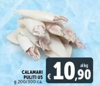 Deco Supermercati CALAMARI PULITI U5 g 200/300 ca. offerta