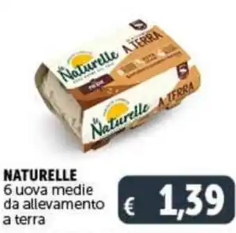 Deco Supermercati NATURELLE 6 uova medie da allevamento a terra offerta