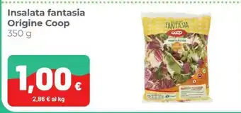 Coop Coop - Insalata Fantasia 350 G(ml) offerta