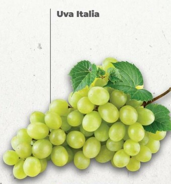 Coop Uva Italia offerta