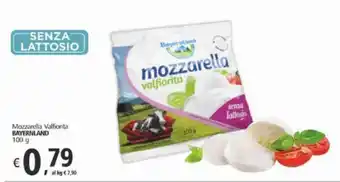 Alter Discount Mozzarella Valfiorita BAYERNLAND 100 g offerta