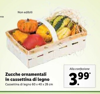 Lidl Zucche Ornamentali In Cassettina Di Legno offerta