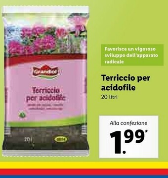 Lidl Grandiol Terriccio Per Acidofile offerta
