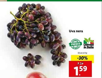 Lidl Uva Nera offerta