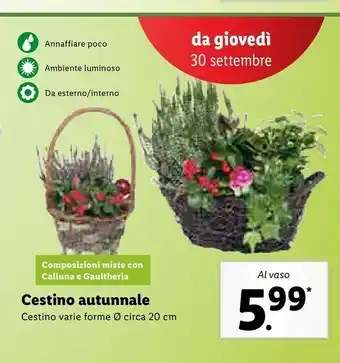 Cestino Autinnale