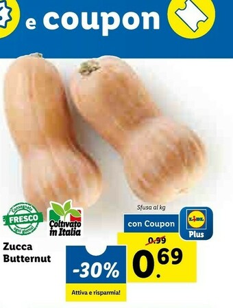Lidl Zucca Butternut offerta