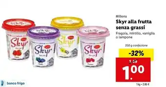 Lidl Milbona Skyr Alla Frutta Senza Grassi offerta