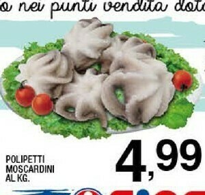 Sigma Polipetti Moscardini offerta
