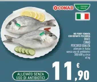 Conad ORATE CONAD PERCORSO QUALITÀ offerta