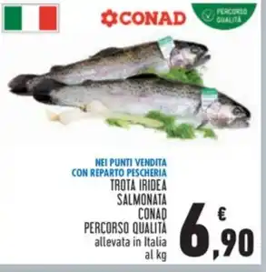Conad TROTA IRIDEA SALMONATA CONAD PERCORSO QUALITÀ offerta