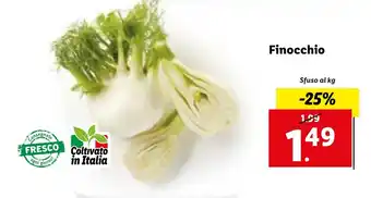 Lidl Finocchio offerta